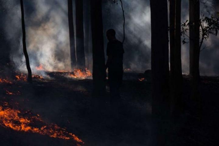 Bosbranden Australië Climaxi