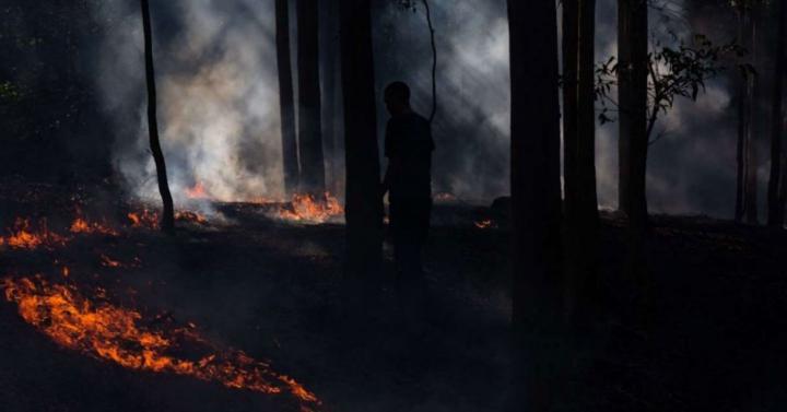 Bosbranden Australië Climaxi