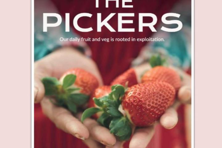 pickers