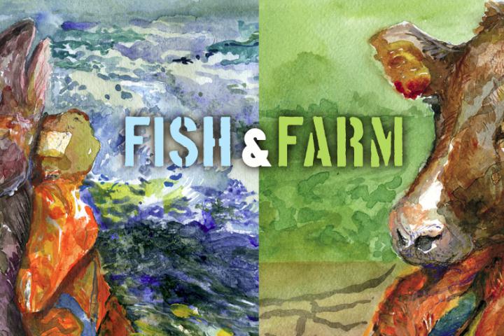 banner fish and farm